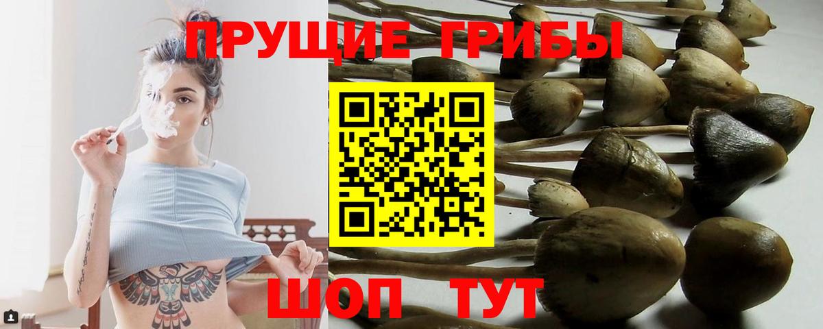 Абинск  Галлюциногенные грибы мицелий  Вход с VPN 
